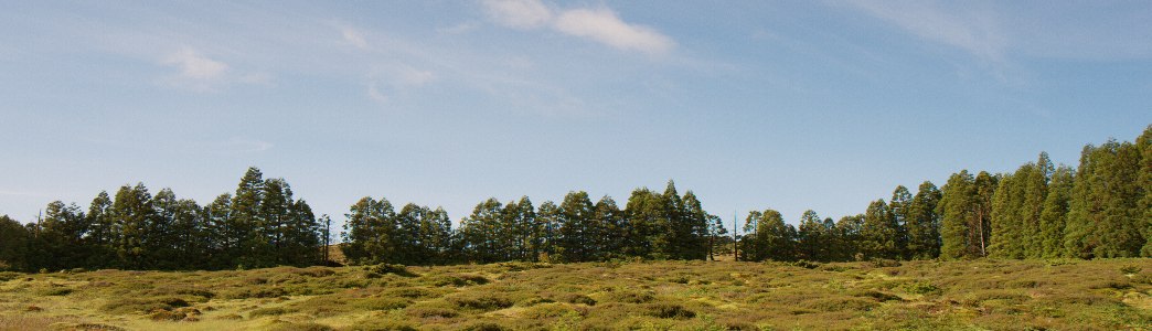 A landscape frame desqueezed to a wide cinematic panorama