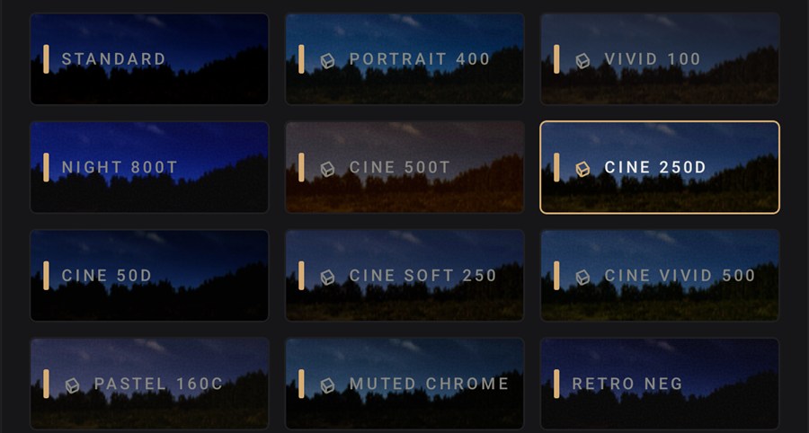 Grid of film look previews rendered on the same photo, Cine 250D selected
